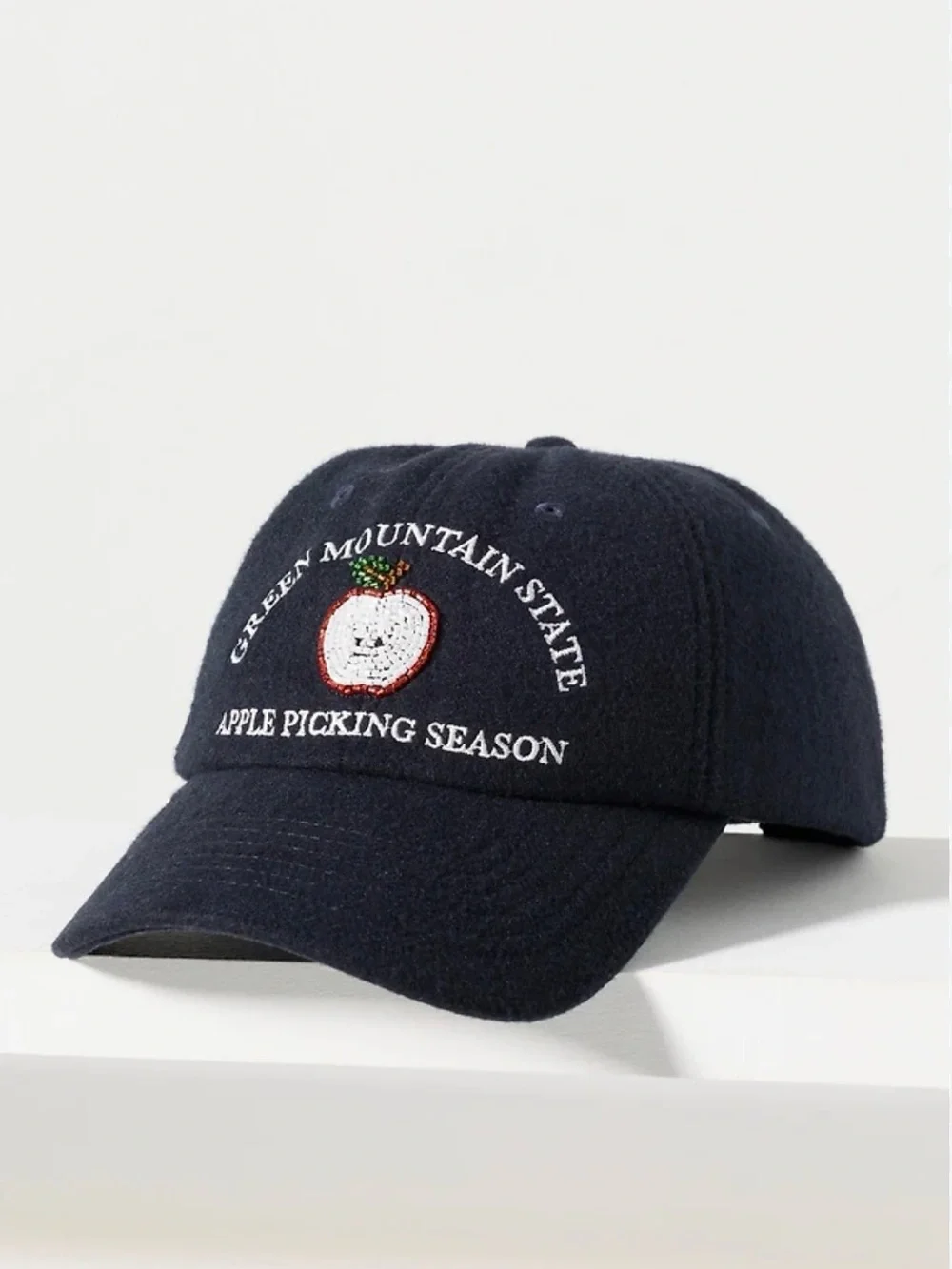 Coney Island picnic fall icon baseball cap